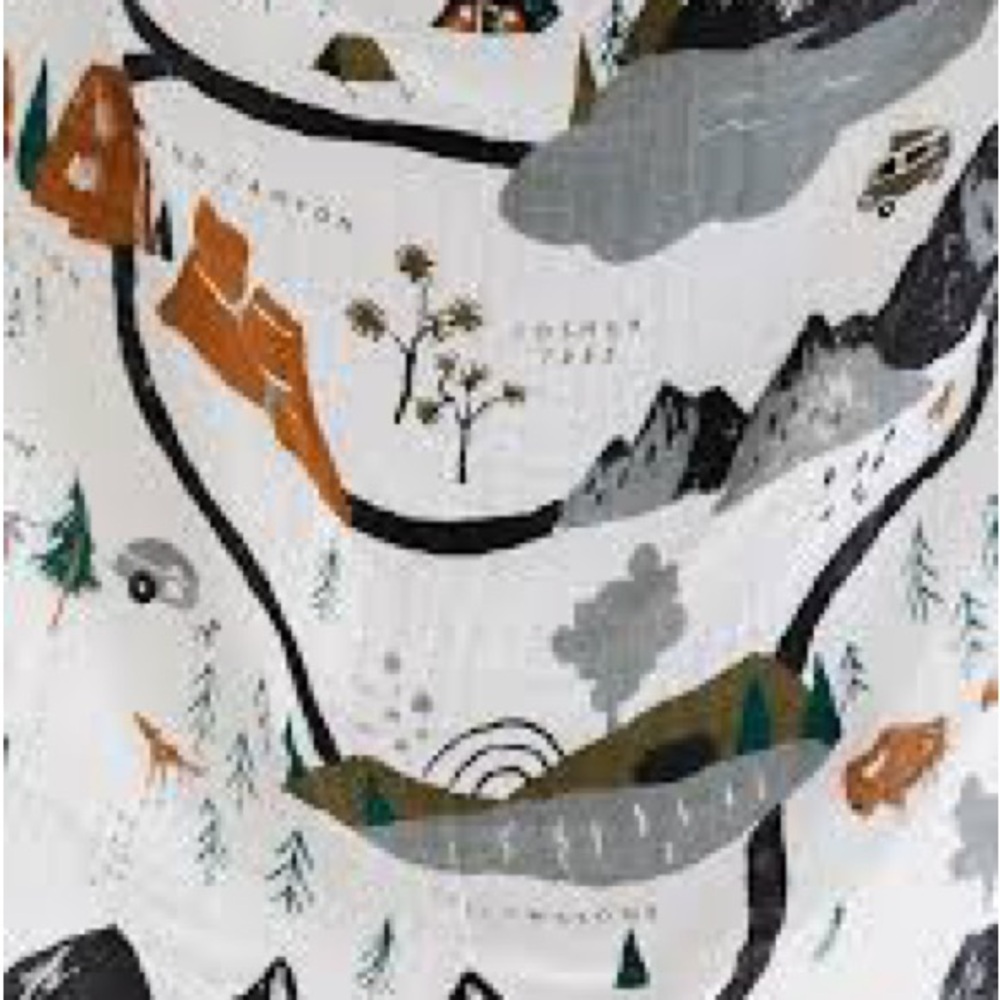 Rylee + Cru White, Gray, Black, Olive, Rust Kids Scenic Print